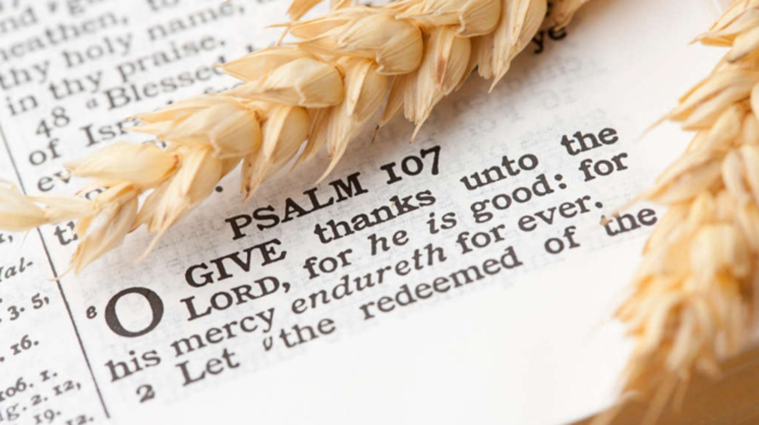 Sermon / Oct 9, 2016 / Thanksgiving / Deut 10-11; 17-18a / Pastor Terry Defoe
