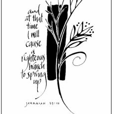 Weekly Bulletin December 1st - First Sunday in Advent