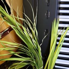 “Psalm Sunday” Sermon / Phillipians 2:5-11; John 12:12-19; Psalm 118; Deuteronomy 32:36-39 / Pr. Lucas A. Albrecht / Sunday April 14th 2019 / Palm Sunday / Mount Olive Lutheran Church