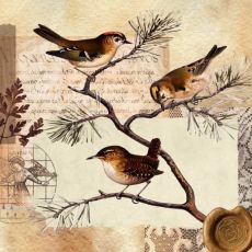 “Birds of a Feather Brought Together” Mount Olive Lutheran Church Season Of Pentecost Sunday Sermon June 16, 2024 – Mark 4:26-34