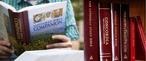 Book Of The Month For August 2014:  The Lutheran Bible Companion