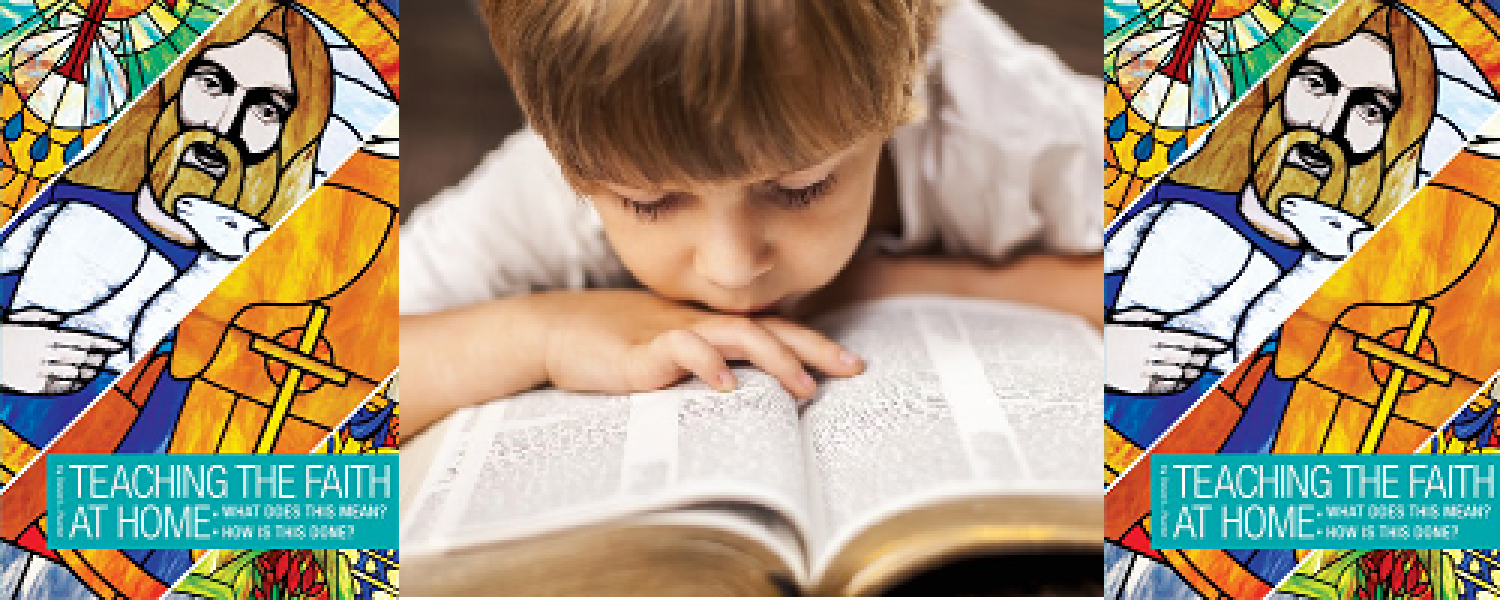 Book Of The Month For March 2016:  Teaching the Faith at Home: What Does This Mean? How Is This Done?