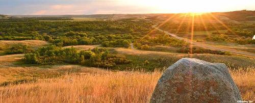 NICOLLE FLATS 9K HIKE - October 26th 