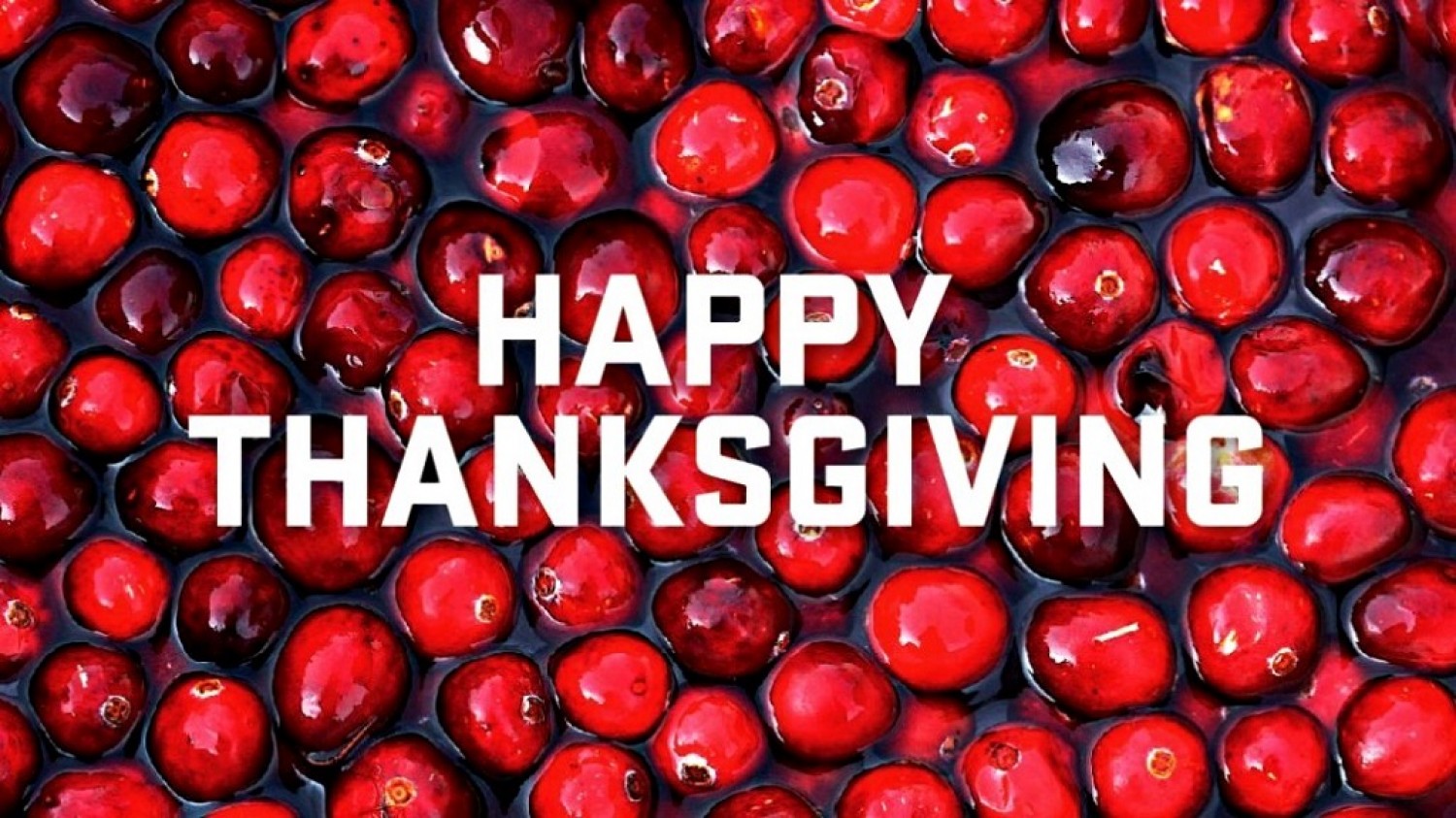 Sermon / Pr. Ted Giese / Oct 11th 2015 - Thanksgiving Sunday / Deuteronomy 8:1-10 / Who is Perfectly Thankful? 