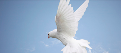 Sermon - May 19th, 2013 - That's the Spirit