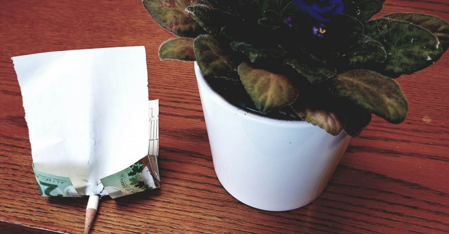 Astonished beyond measure / Mark 7:31-37; James 2:14-18 / Pr. Lucas Andre Albrecht / Sunday September 5th 2021 / Season Of Pentecost / Mount Olive Lutheran Church