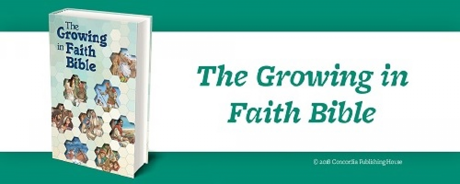 Book Of The Month For August 2019:  The Growing in Faith Bible