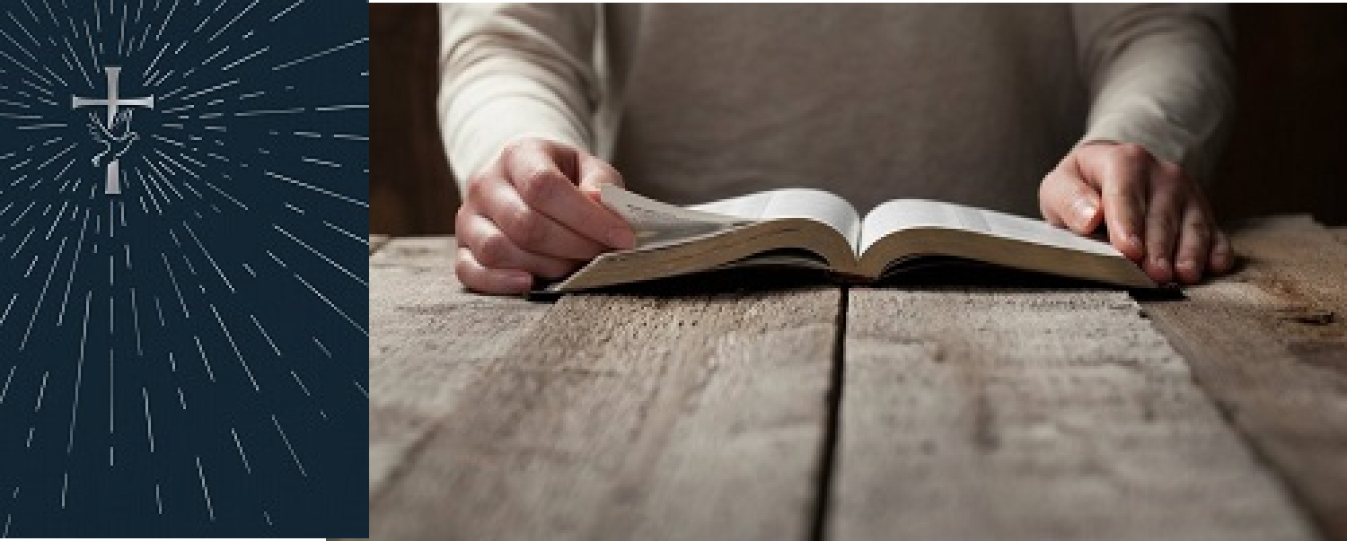 Book Of The Month For October 2019: Portals of Prayer Devotional Bible