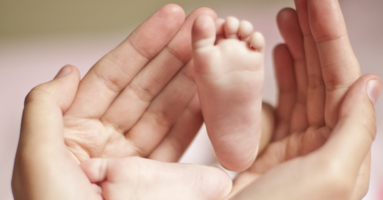 Christmas Eve & Christmas Day Bulletin December 2025