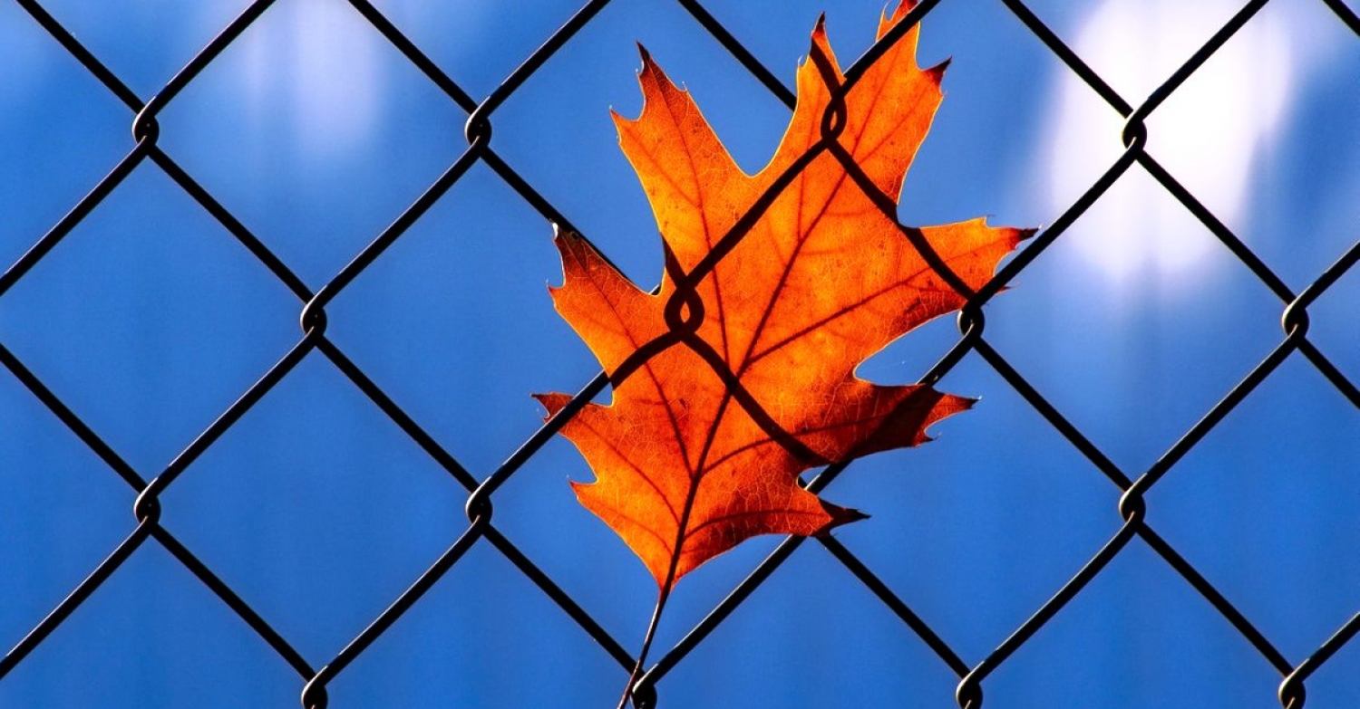 Great Expectations / Luke 7:18–35 / Pr. Ted A. Giese / Sunday December 12th 2021 / Season of Advent / Mount Olive Lutheran Church