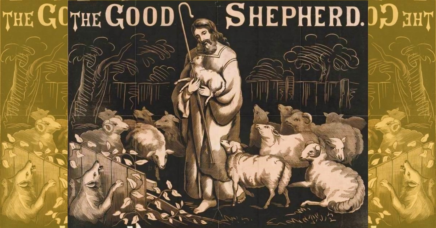 Jesus is our Good Shepherd / John 10:22–30 / Pr. Ted A. Giese / Sunday May 11th 2025 / Season of Easter / Mount Olive Lutheran Church