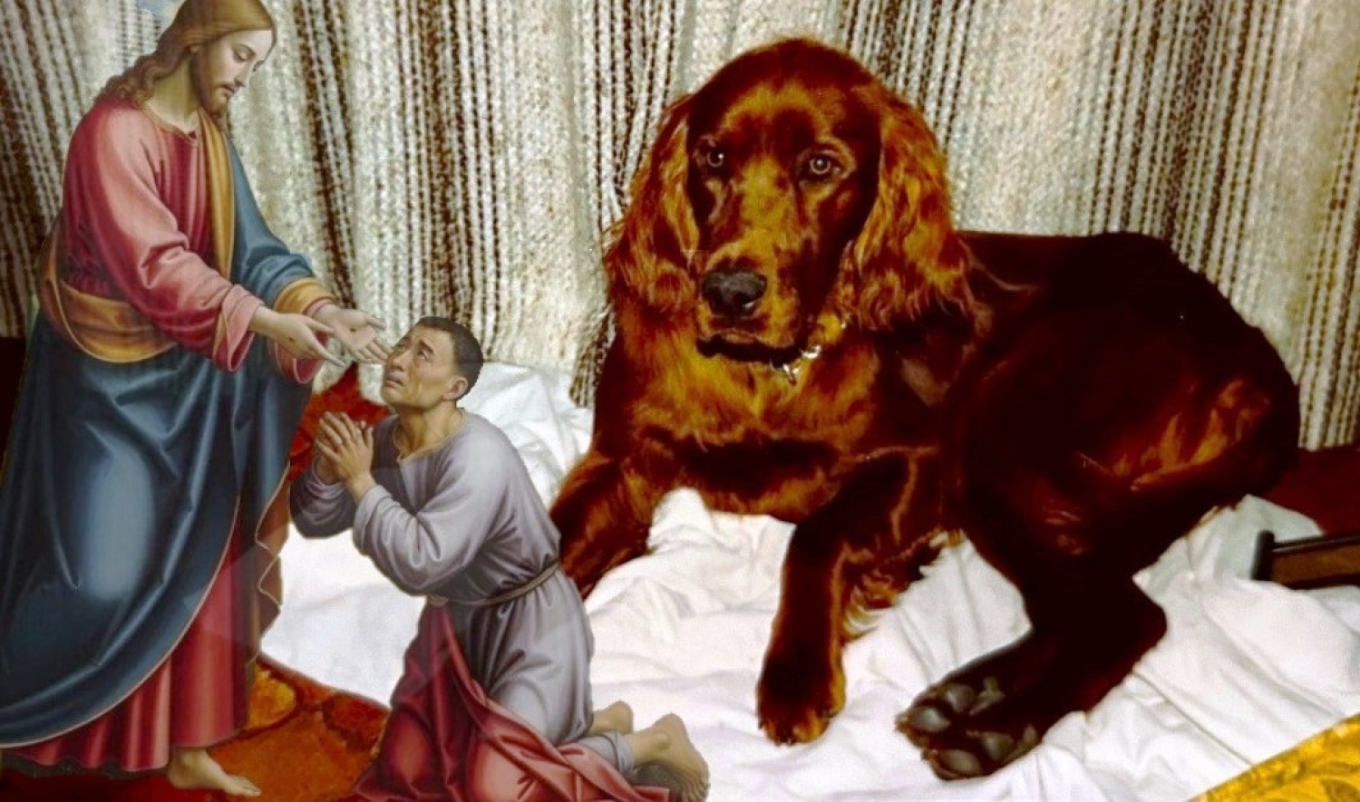 Jesus Takes Away the Sin of the World / John 1:29–42 / Pr. Ted A. Giese / Sunday January 18th 2026/ Season of Epiphany / Mount Olive Lutheran Church