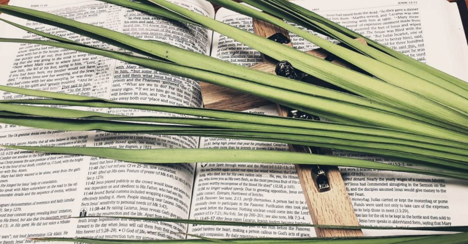 Just as He is: Perfect / John 12; Philippians 2; Deuteronomy 32 / Pr. Lucas Andre Albrecht / Sunday, April 10th / Palm Sunday