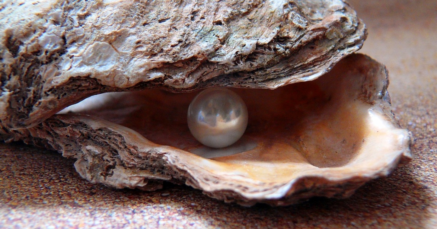 Pearl of Great Value / Matthew 13:44–52 / Pr. Ted A. Giese / Sunday July 30th 2023 / The Season Of Pentecost / Mount Olive Lutheran Church