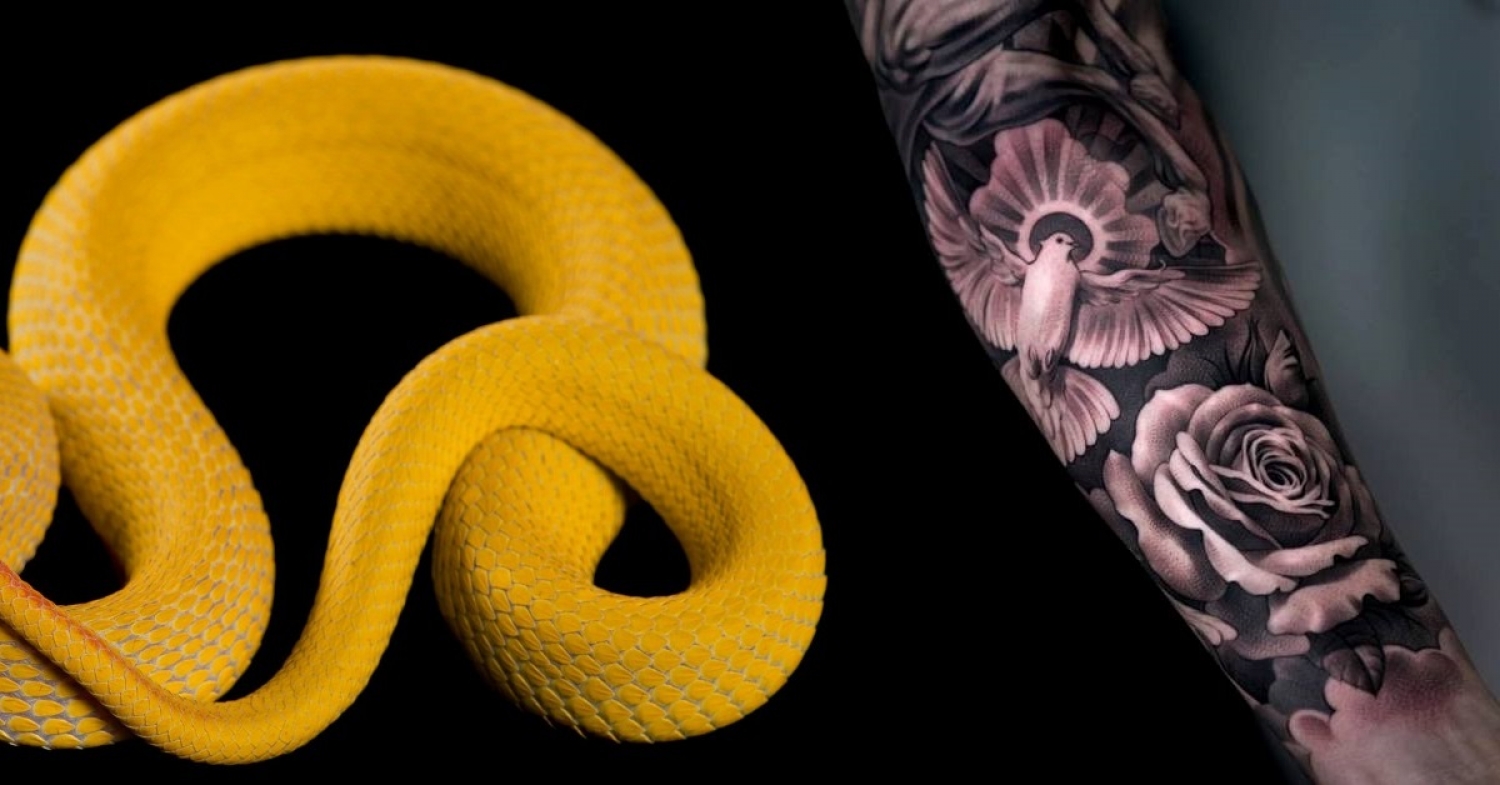 Prepared to be Wise and Innocent / Matthew 9:35–10:20 / Pr. Ted A. Giese / Sunday June 14th 2020 / Season of Pentecost / Mount Olive Lutheran Church