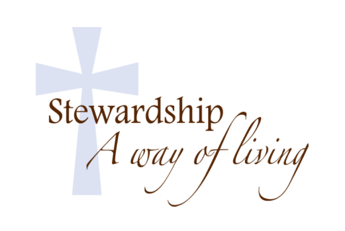 Sunday School Parent Connection: Sun. Feb. 23 - A Time For Everything: What is a Steward? - Image 2
