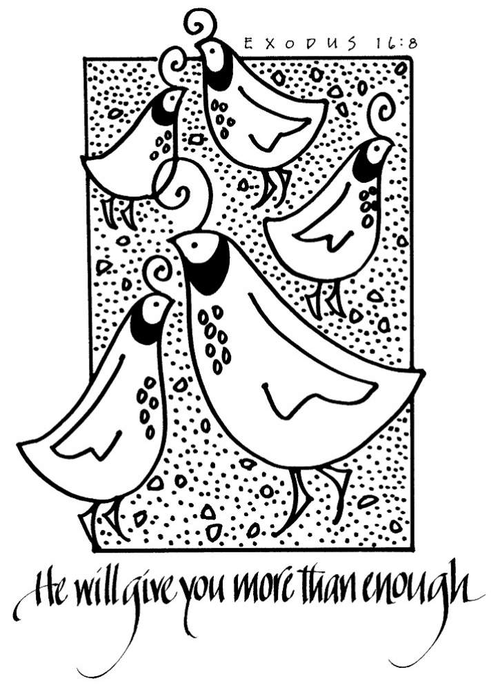 Weekly Bulletin August 1st