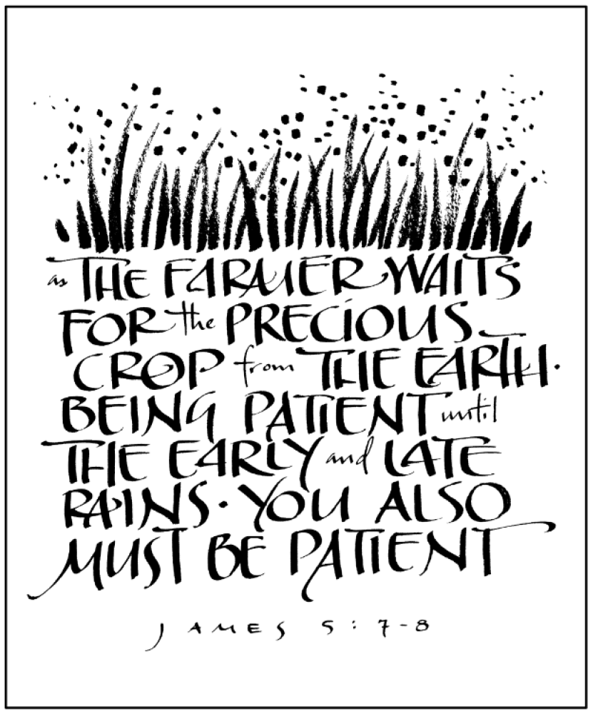 Weekly Bulletin December 14th - Third Sunday in Advent