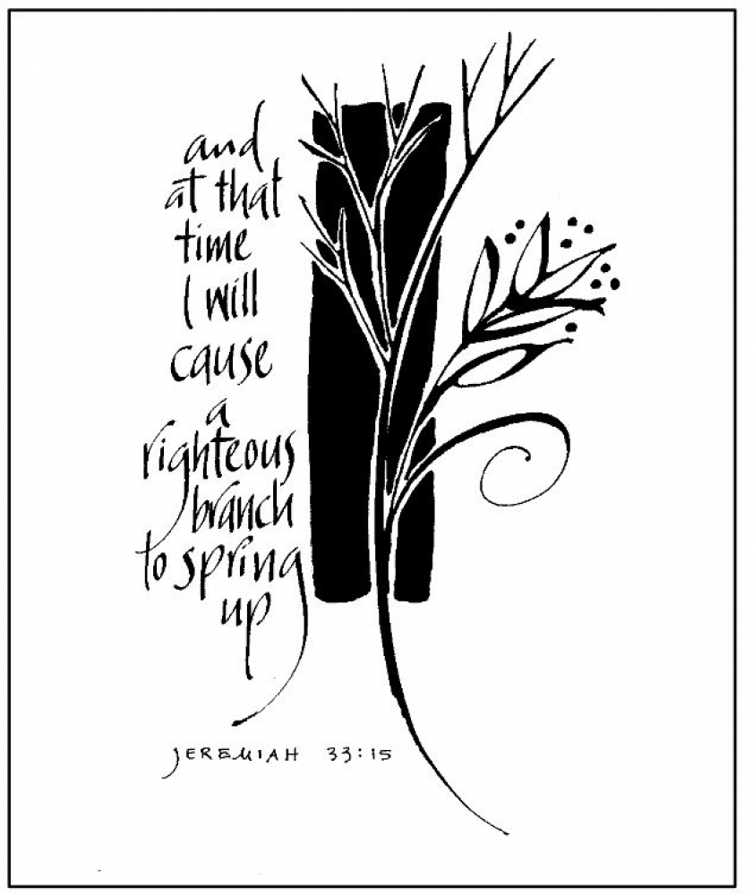 Weekly Bulletin December 1st - First Sunday in Advent