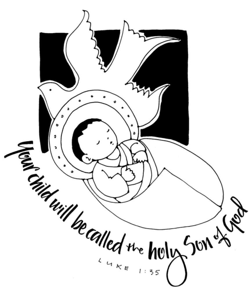 Weekly Bulletin December 20th