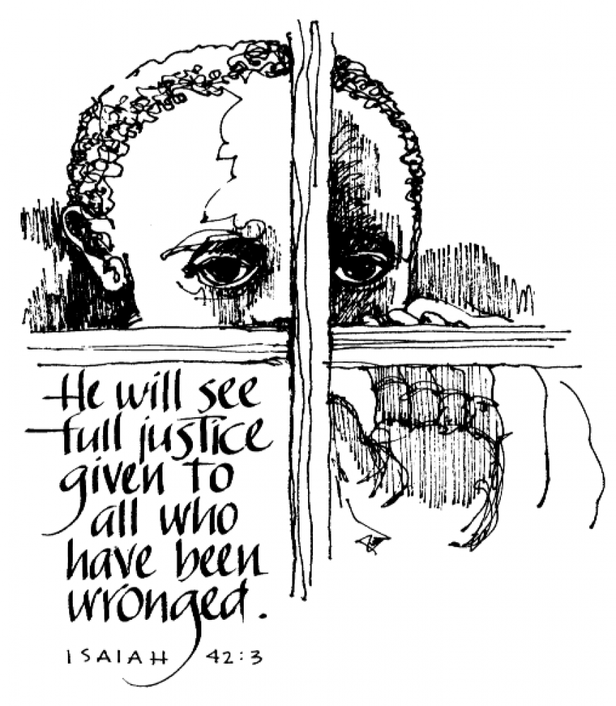 Weekly Bulletin January 12th