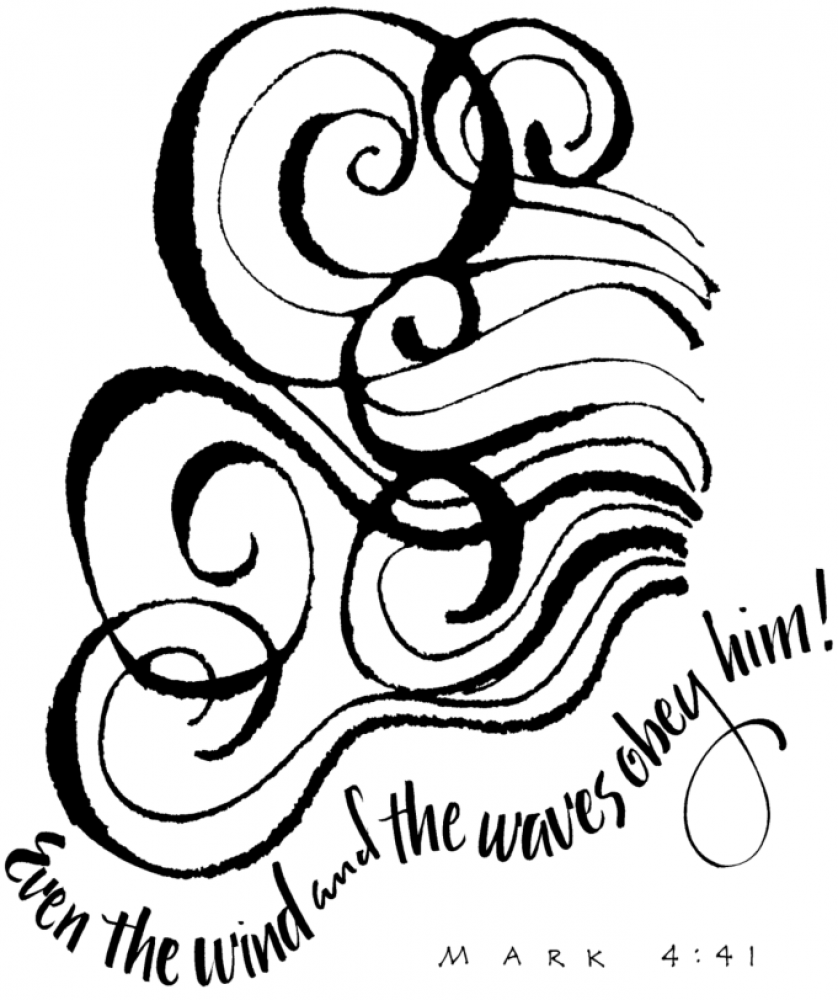 Weekly bulletin June 20th