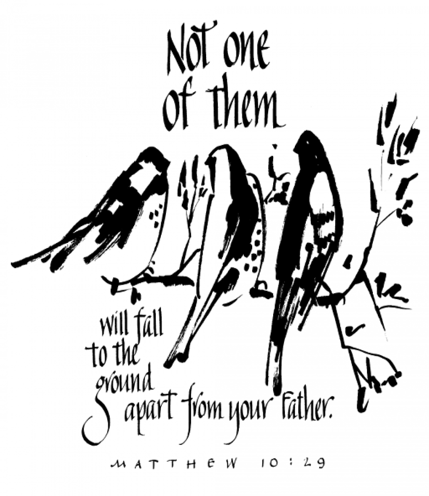 Weekly Bulletin June 21st