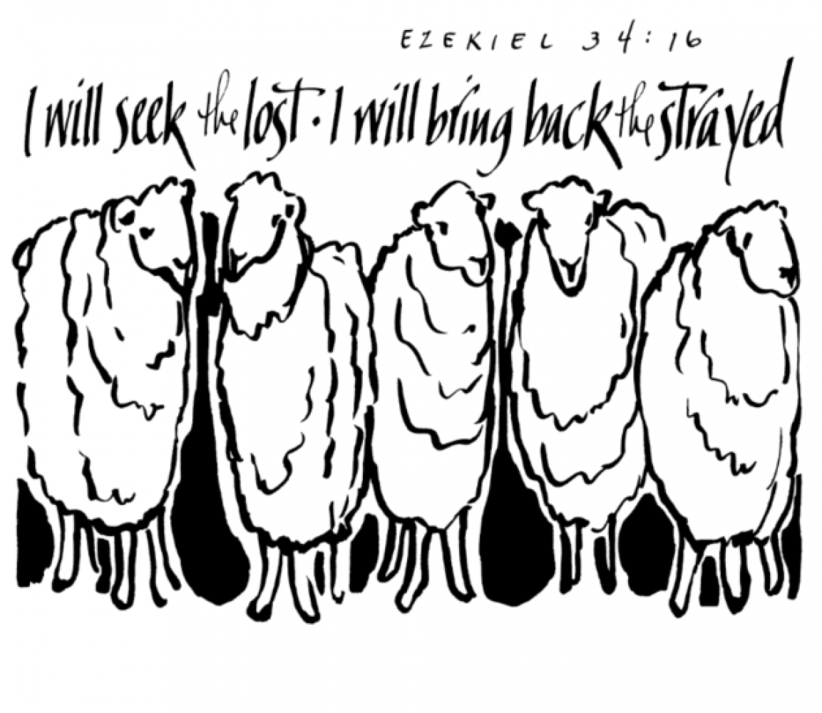 Weekly Bulletin November 22nd