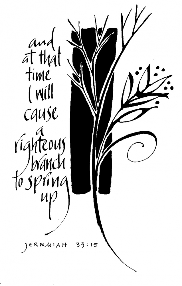 Weekly Bulletin November 28th