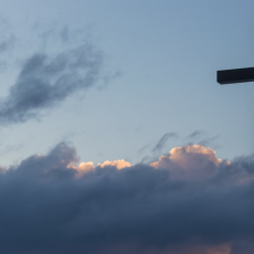 Will you lay down your life for me? / John 13:36-38 / Pr. Lucas Andre Albrecht / Ash Wednesday, February 22nd, 2023 / Mount Olive Lutheran Church