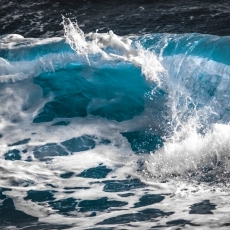 “With Jesus in the Boat” Mount Olive Lutheran Church Season Of Pentecost Sunday Sermon June 23, 2024 – Mark 4:35–4