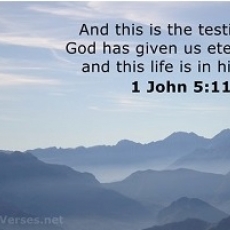 Book Of The Month For November 2021:  The Joy of Eternal Life