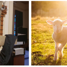 Our Lamb / Isaiah 53 / Pr. Lucas Andre Albrecht / Friday April 15th 2022 / Good Friday / Mount Olive Lutheran Church
