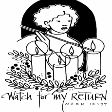 Weekly Bulletin November 29th