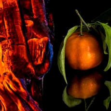 "Christmas Oranges & Lumps of Christmas Coal" Sermon / Luke 2:22-40 / Pr. Ted Giese / Sunday December 30th 2018: Season Of Christmas / Mount Olive Lutheran Church