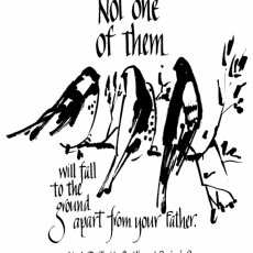 Weekly Bulletin June 21st