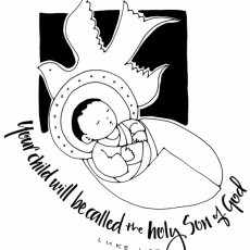 Weekly Bulletin December 20th