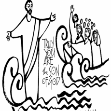 Weekly Bulletin August 9th