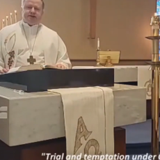 "Trial and Temptation under God's Grace", Sermon / 1 Pter 1:3-9 / Pr. Lucas A. Albrecht / 2nd Sunday in Easter April 19th 2020 / Mount Olive Lutheran Church