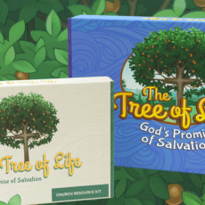 The Tree of Life - VBS 2022 @ Mount Olive - August 8-11