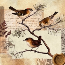 “Birds of a Feather Brought Together” Mount Olive Lutheran Church Season Of Pentecost Sunday Sermon June 16, 2024 – Mark 4:26-34