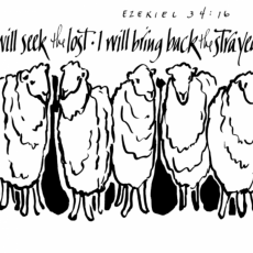 Weekly Bulletin November 22nd