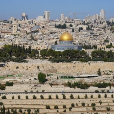 We place faith in Him / Pr. Lucas Andre Albrecht / Sunday April 4th 2021 / Easter Sunday  - Holy Week / Mount Olive Lutheran Church