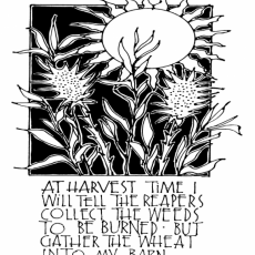 Weekly Bulletin July 19th