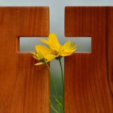 After Fear / Luke 24:36–49 / Pr. Ted A. Giese / Friday April 18th 2021 / Season of Easter / Mount Olive Lutheran Church