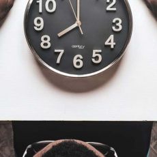 “Time to Thank” / Luke 17:11-19 / Pr. Lucas A. Albrecht/ Sunday October 11th 2020 / Thanksgiving Weekend / Mount Olive Lutheran Church