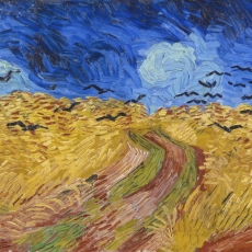 Parable of the Sower / Matthew 13:1–9, 18–23 / Rev. Paulo Brum / Wednesday March 19th 2025 / Season of Lent / Mount Olive Lutheran Church