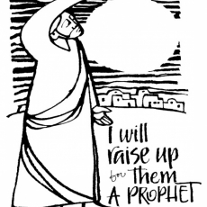 Weekly Bulletin January 31st