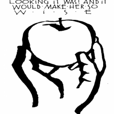 Weekly Bulletin March 1st