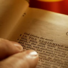 Book Of The Month For February 2019:  Day by Day in Genesis: 365 Devotional Readings from Martin Luther